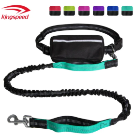 Hands Free Dog Leash with Zipper Pouch; Dual Padded Handles and Durable Bungee for Walking; Jogging and Running Your Dog (Specification (L * W): 2.5*122CM, Colour: Aqua suit)