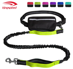 Hands Free Dog Leash with Zipper Pouch; Dual Padded Handles and Durable Bungee for Walking; Jogging and Running Your Dog (Specification (L * W): 2.5*122CM, Colour: Green suit)
