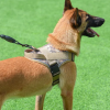Dog Harness; large dog training tactical chest strap; K9 pet chest strap; vest type reflective dog rope; explosion-proof impulse traction