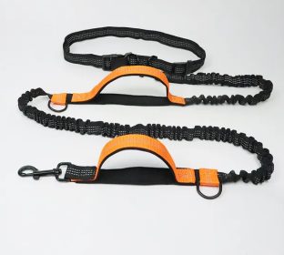 Hands Free Dog Leash for Medium and Large Dogs - Durable Dual Handle Waist Leash with Reflective Bungee for Running; Walking; Training; Hiking (Specification (L * W): 2.5*160cm, Colour: Orange -4211)