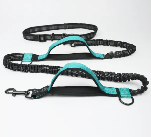 Hands Free Dog Leash for Medium and Large Dogs - Durable Dual Handle Waist Leash with Reflective Bungee for Running; Walking; Training; Hiking (Specification (L * W): 2.5*160cm, Colour: Aqua green-4211)