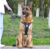 Dog Harnesses; Cross border New Pet Towing Rope Vest Large Dog Chest Strap Reflective Explosion proof Flushing Dog Towing Rope