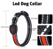 Blinking Flashing Pets Safety LED Adjustable Dog Collar