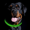 Blinking Flashing Pets Safety LED Adjustable Dog Collar