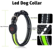 Blinking Flashing Pets Safety LED Adjustable Dog Collar