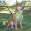 Dog Harnesses; New style dog chest strap vest type big dog chest strap explosion-proof flush walking dog rope reflective pet traction rope