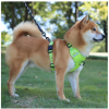 Dog Harnesses; New style dog chest strap vest type big dog chest strap explosion-proof flush walking dog rope reflective pet traction rope