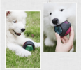 Pet Rubber Bouncing Toy Dog Chew Toy Light up Ball Squeaky Toy, Bite Resistant Irregular Shape Toy