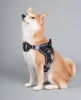 Dog Helios 'Scorpion' Sporty High-Performance Free-Range Dog Harness