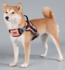 Dog Helios 'Scorpion' Sporty High-Performance Free-Range Dog Harness