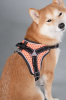 Dog Helios 'Scorpion' Sporty High-Performance Free-Range Dog Harness