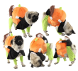 Pet Life 'Pumpkin Mon' Halloween Pet Dog Costume