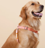 Touchdog 'Macaron' 2-in-1 Durable Nylon Dog Harness and Leash