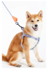 Touchdog 'Macaron' 2-in-1 Durable Nylon Dog Harness and Leash