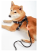 Touchdog 'Macaron' 2-in-1 Durable Nylon Dog Harness and Leash