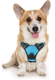 Dog Harness; No-Pull Pet Harness with 2 Leash Clips; Adjustable Soft Padded Dog Vest; Reflective No-Choke Pet Oxford Vest with Easy Control Handl (Color: Baby Blue, Size: X-Large)