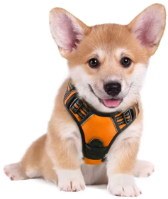 Dog Harness; No-Pull Pet Harness with 2 Leash Clips; Adjustable Soft Padded Dog Vest; Reflective No-Choke Pet Oxford Vest with Easy Control Handl (Color: Bright Pumpkin, Size: Small)