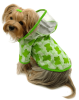 Clear View Froggy Raincoat with Fleece Lining and Detachable Hood