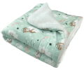Ultra Soft Minky/Plush Blanket
