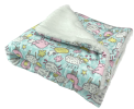 Ultra Soft Minky/Plush Blanket