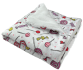 Ultra Soft Minky/Plush Blanket