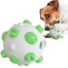 Pet Dog Toy Interactive Chew Toy Non-Toxic Bite Resistant Rubber Ball