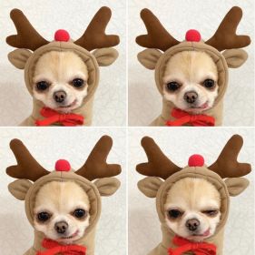 Christmas Dog Winter Warm Clothing Cute Plush Coat Hoodies Pet Costume Jacket For Puppy Cat French Bulldog Chihuahua Small Dog Clothing (Color: Coffee, Size: XL)
