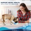 Forza10 Actiwet Wet Dog Food 3.5oz/32