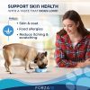 Forza10 Actiwet Wet Dog Food 3.5oz/32