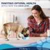 Forza10 Actiwet Wet Dog Food 3.5oz/32