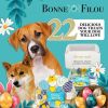 Themed Dog Treats Gift Box