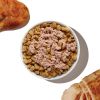 The Honest Kitchen - Dog Food Meal Boost